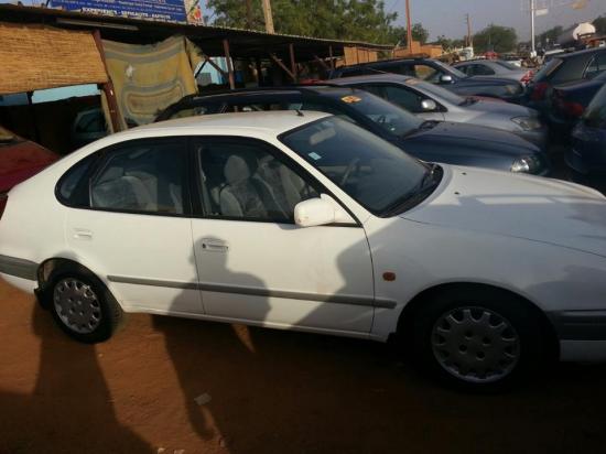 Toyota  Corolla 
