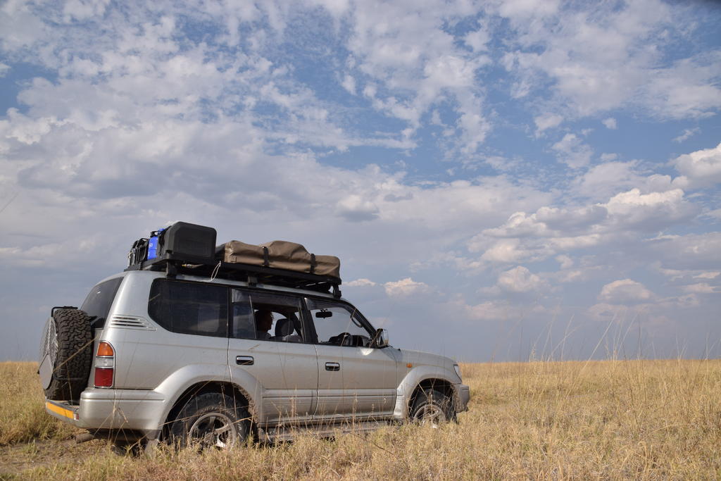 Prado TDi
